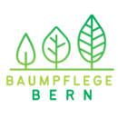 Baumpflege Bern